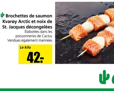 Brochettes de saumon Kvaroy Arctic et noix de St. Jacques décongélées