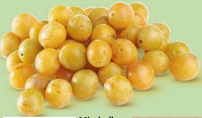 Mirabelles Luxembourg, classe 1