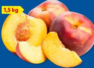 Nectarines XXL