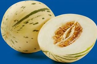 Melon blanc Matisse