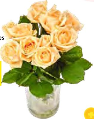 Bouteille de 10 roses hollandaises