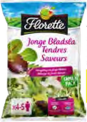 Tendres Saveurs Florette