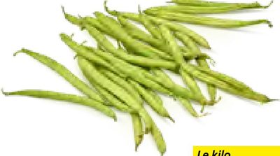 Haricots verts fins