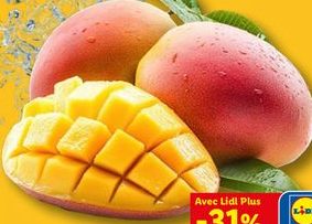 Mangue